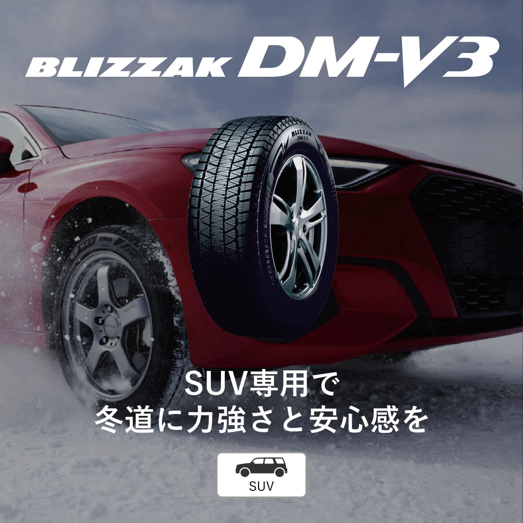 BLIZZAK DM-V3 225/65R17 102Q｜ブリヂストン タイヤオンラインストア