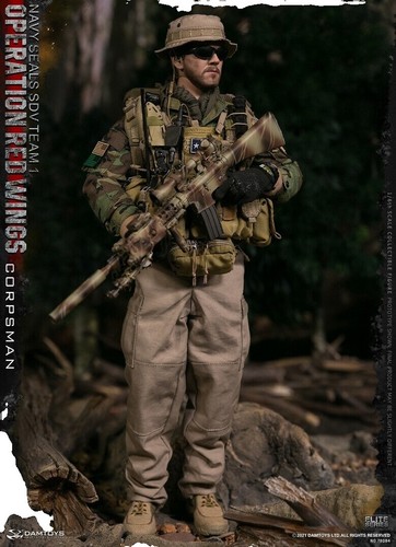 Damtoys 1/6 Dcg002 Combat Girl Series Gemini Vicky Action Figure