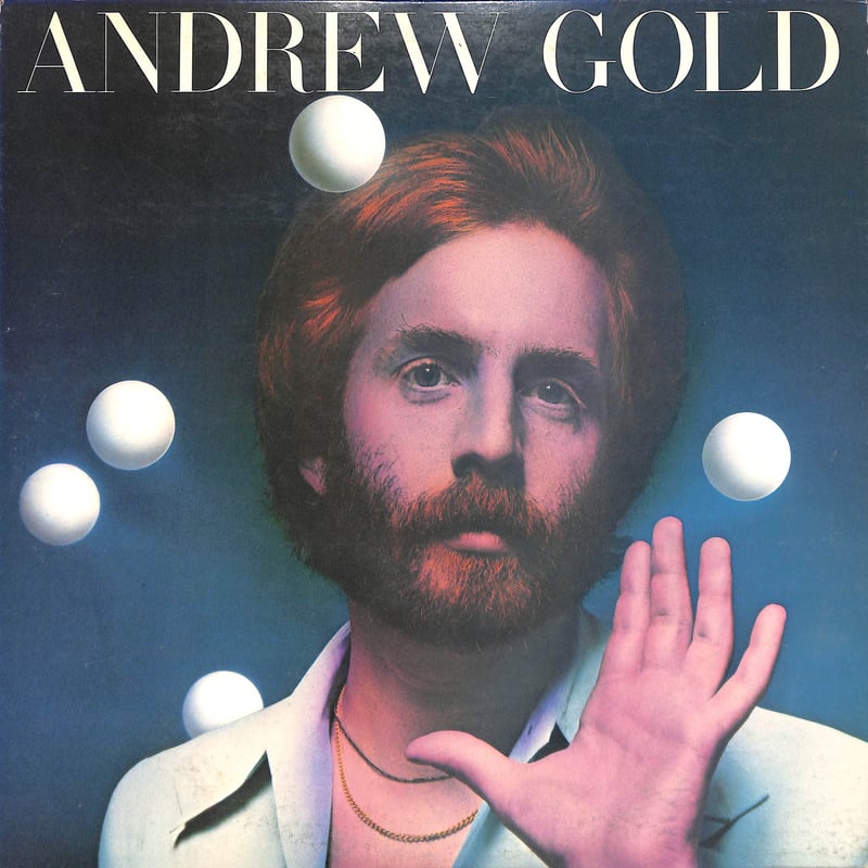 アンドリュー・ゴールド / Andrew Gold [※国内盤,品番:P-10145Y］(LP