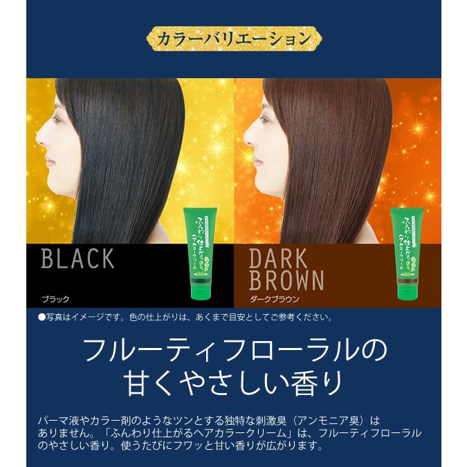 ブレーンコスモス ふんわり仕上がるヘアカラークリーム 200g 3個セット