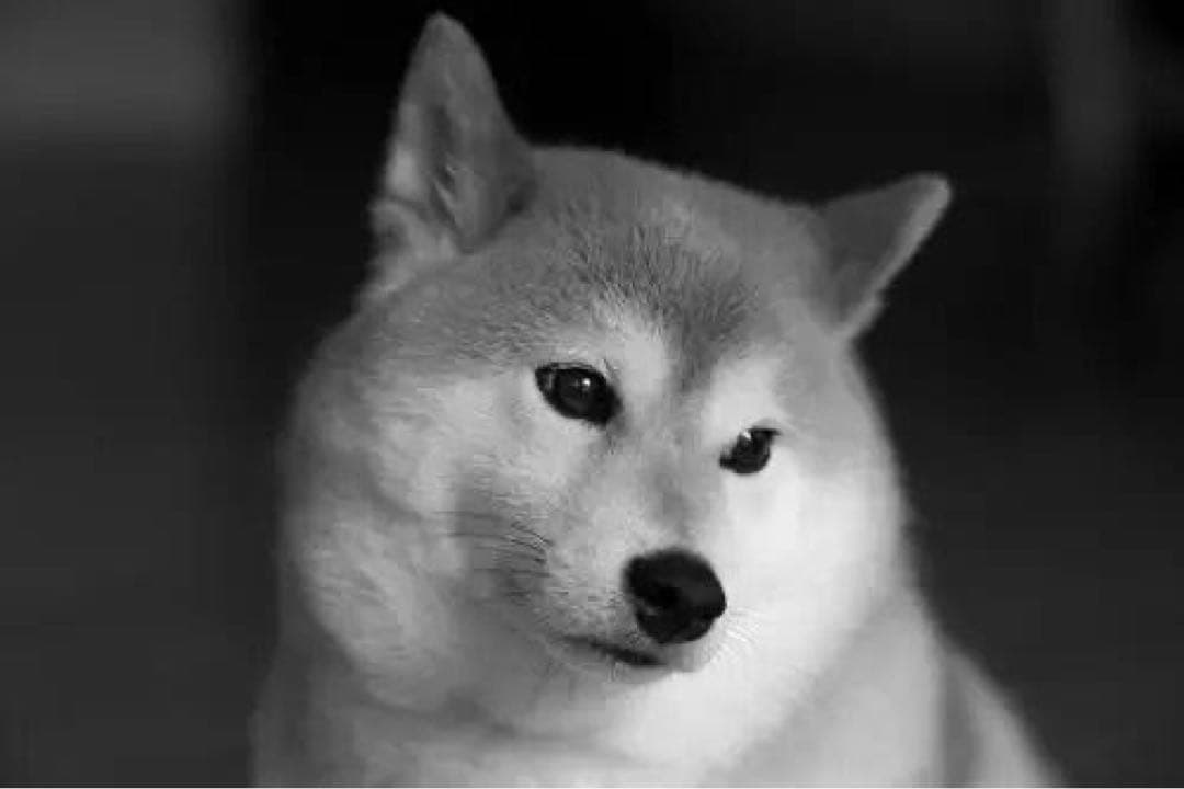 その他 NagasakiRZ New 2026 Kawasaki Ninja ZX-6R, Jasper TN | Specs, Price, Photos