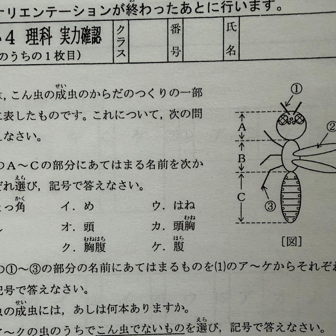 浜学園 Vクラス 復習テスト 小4 国語 算数 理科 社会 4科目 即発送