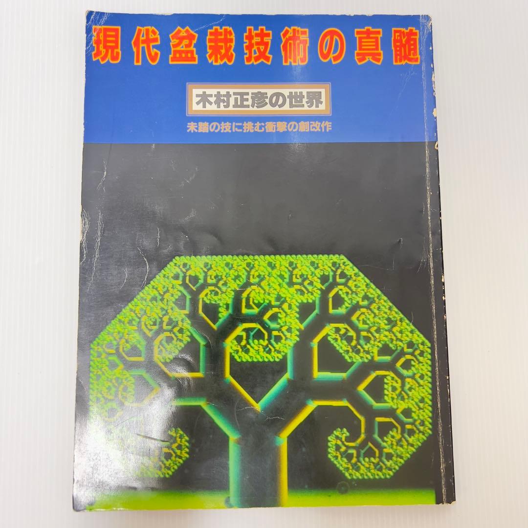 現代盆栽技術の真髄 木村正彦の世界 木村正彦 真柏改作 ］「登龍の舞」を彷彿とさせる逸品を磨く！近代盆栽