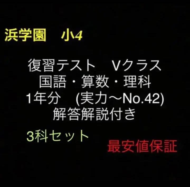 浜学園　小4　国語算数理科　Vクラス　復習テスト 実力〜No.42　解答解説付き 浜学園 Vクラス 復習テスト 小4 国語 算数 理科 社会 4科目 即発送