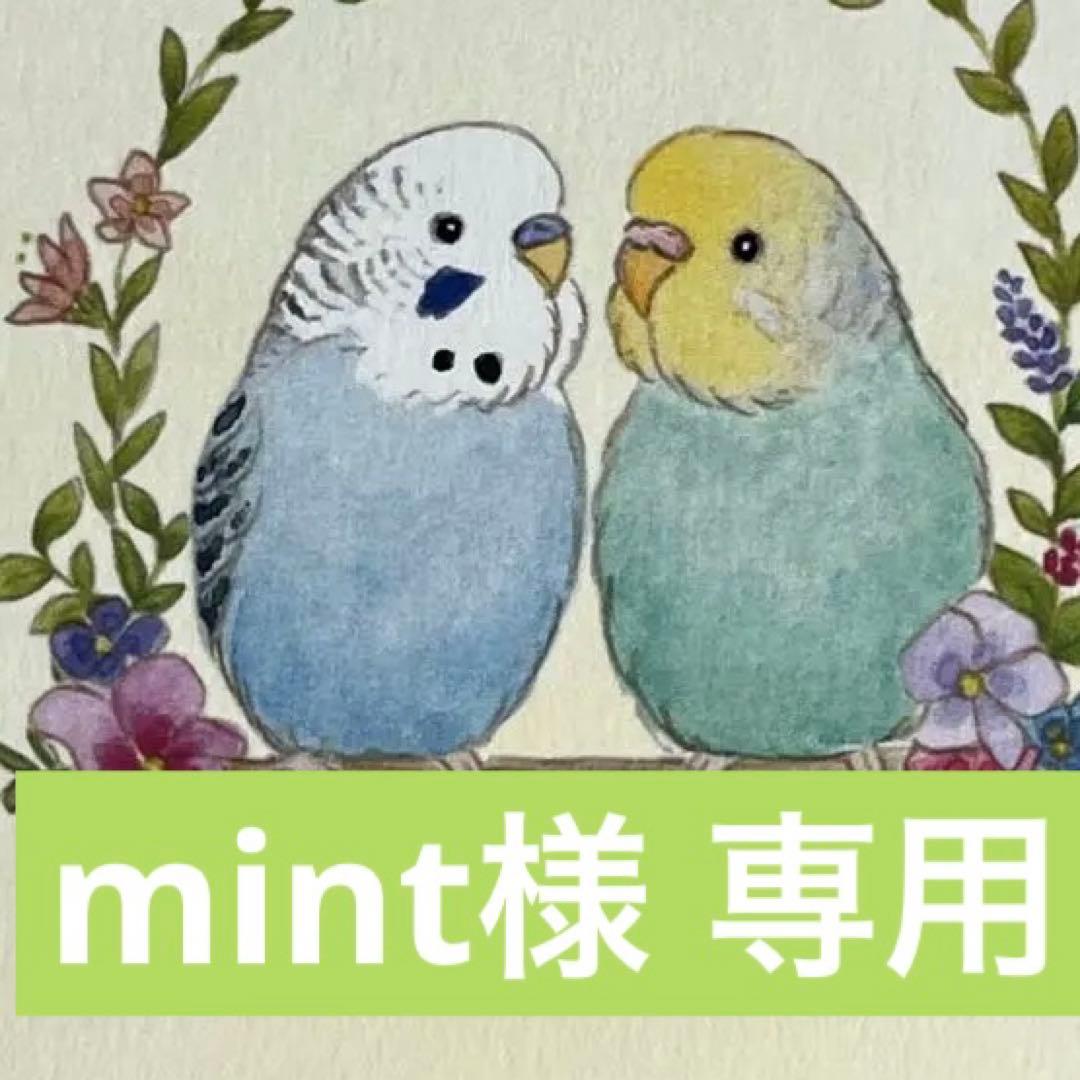 mint 国内6月16日発売予定】 アディダス オリジナルス ZX 8000 2色