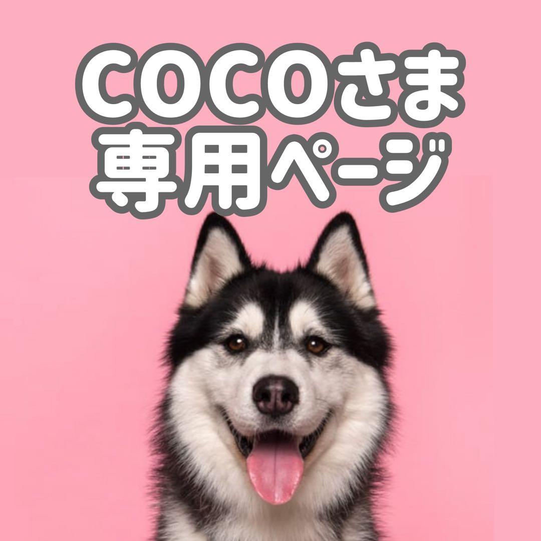 エ・ラム15◯●COCOページ●◯ Coco Jamra Coconut Charcoal Cubes 26mm 64 Count (2Pack) – Hookah