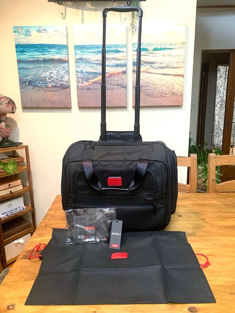 バッグ KS Amazon.com | KXKS. (Kicks Kase Premium Sneaker & Travel Backpack